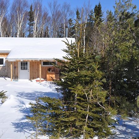 The Sleeping Moose Cottage Birch Plain Exterior photo