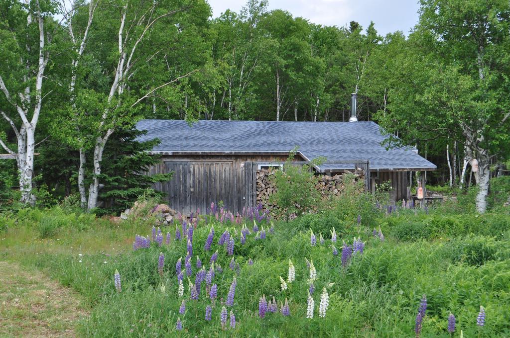 The Sleeping Moose Cottage Birch Plain Exterior photo