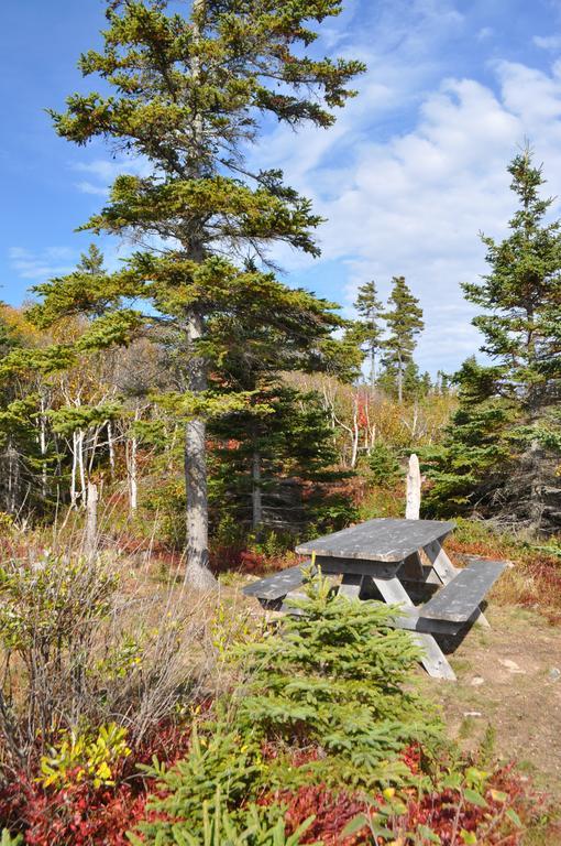 The Sleeping Moose Cottage Birch Plain Exterior photo