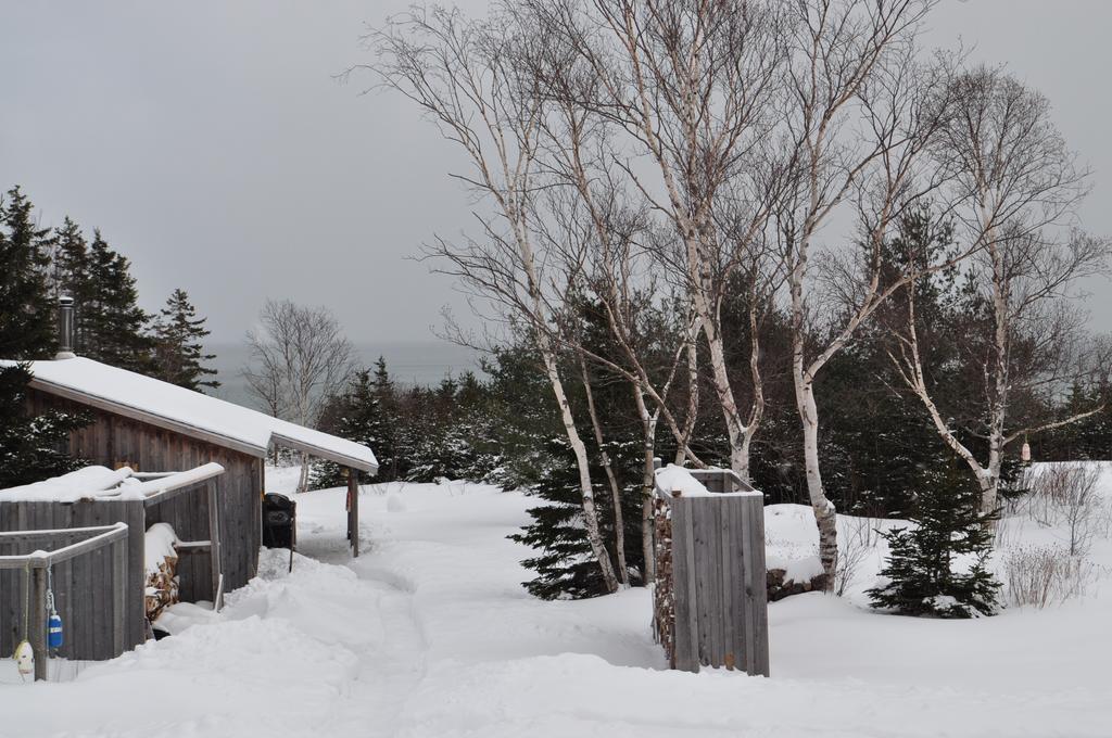 The Sleeping Moose Cottage Birch Plain Exterior photo